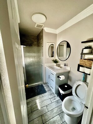 Bathroom - Brilliant PRIVATE 1 bedroom 1 bath studio with AC in vibrant San Jose (San Jose)