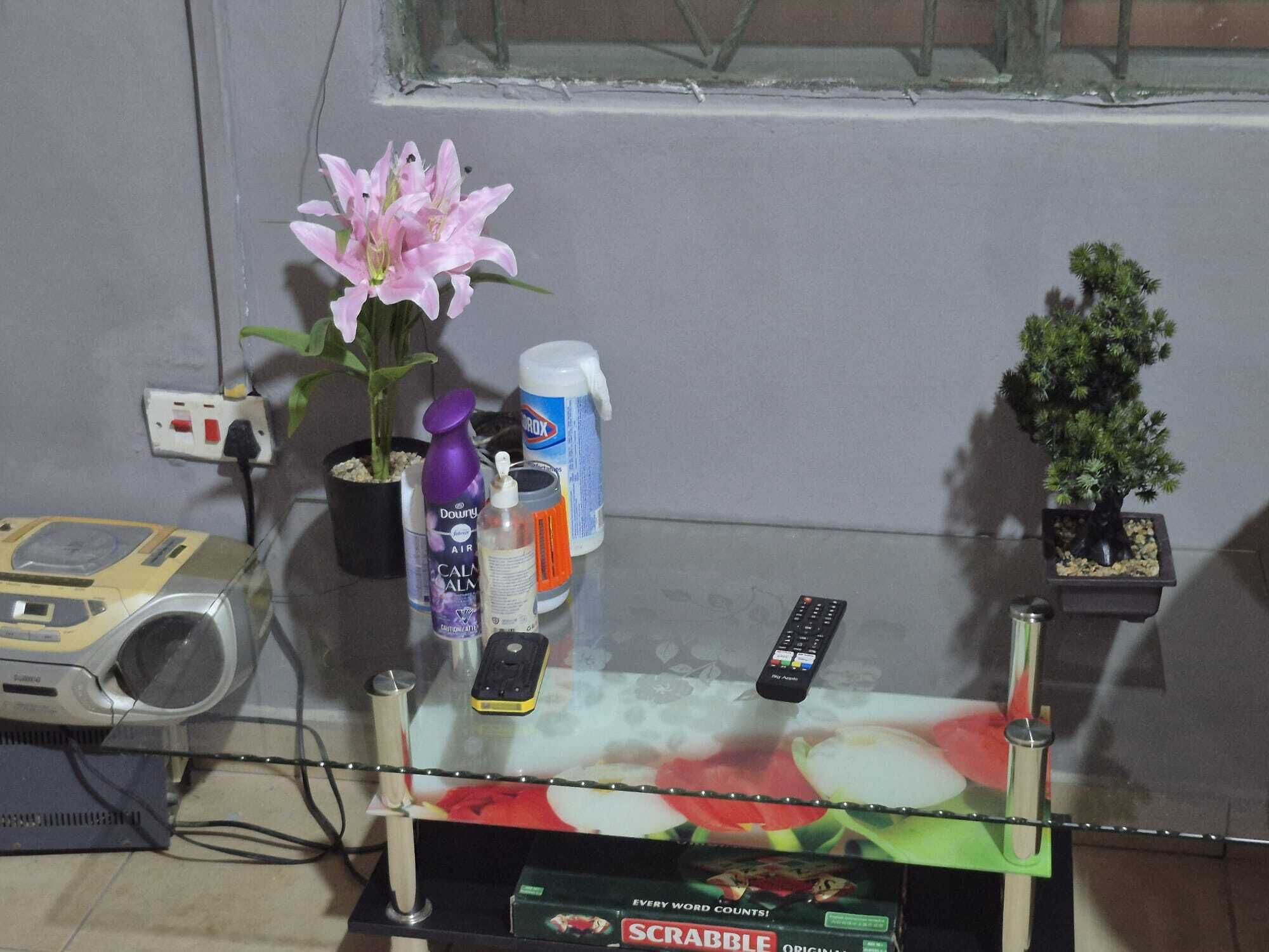 A glass table with a Scrabble box, a potted plant, a remote control, and a speaker.