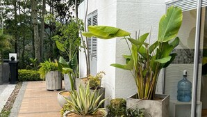 Un patio empedrado con plantas en macetas, un dispensador de agua y una puerta de cristal.