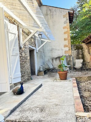 A peacock in a courtyard with a stone wall, a metal gate, and a potted plant. - Vacation rental for 4 people with a pool in June, July, and September (Falga)
