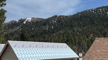 Deluxe Cabin, 4 Bedrooms, Mobility Accessible, Mountain View | Terrace/patio