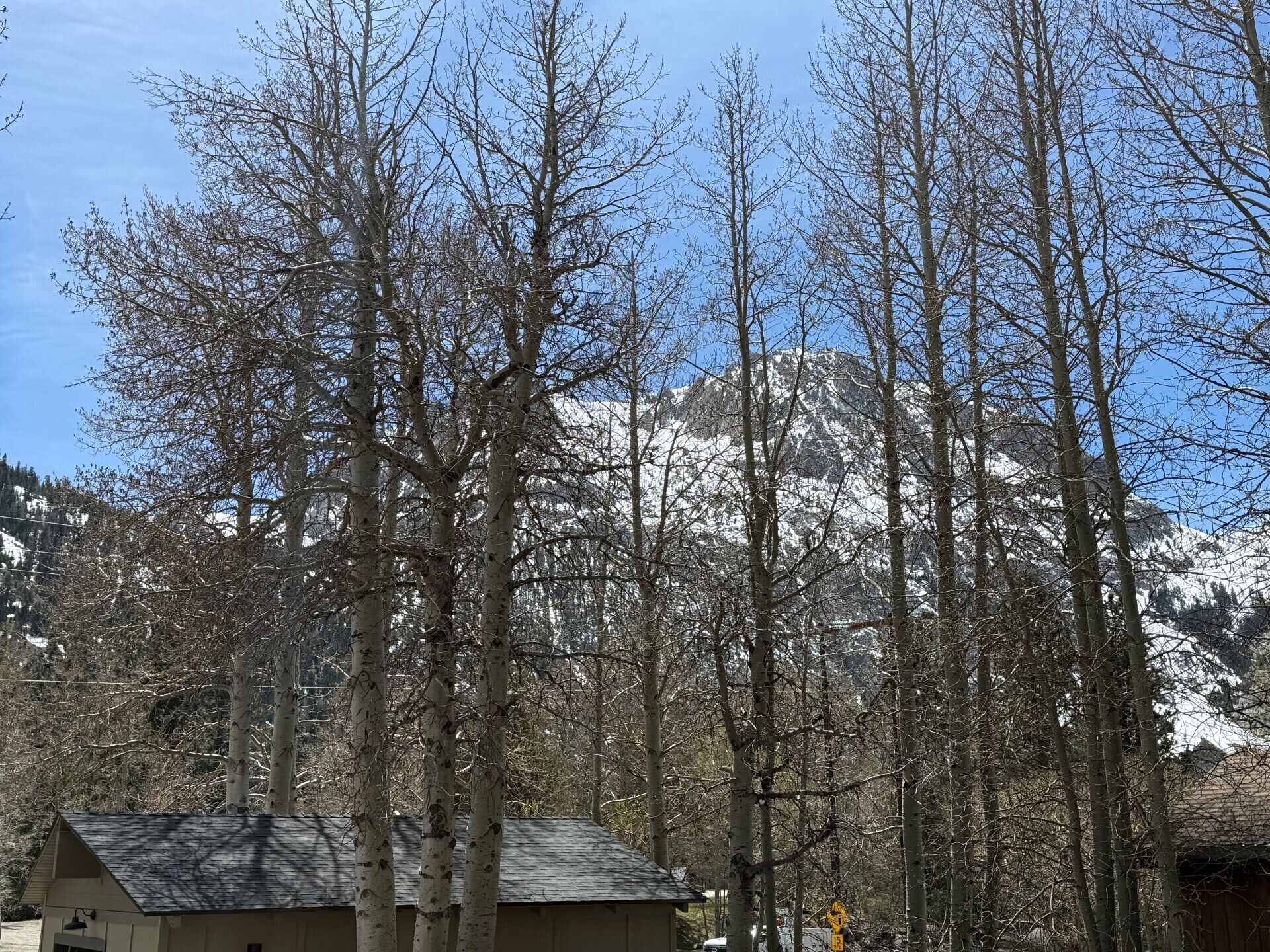 Een berg met besneeuwde toppen, kale bomen en een klein gebouw met een donker dak.