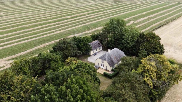 A rural landscape with a house surrounded by fields and trees. - 4 Star Holiday Home in Harpelunde (Harpelunde)