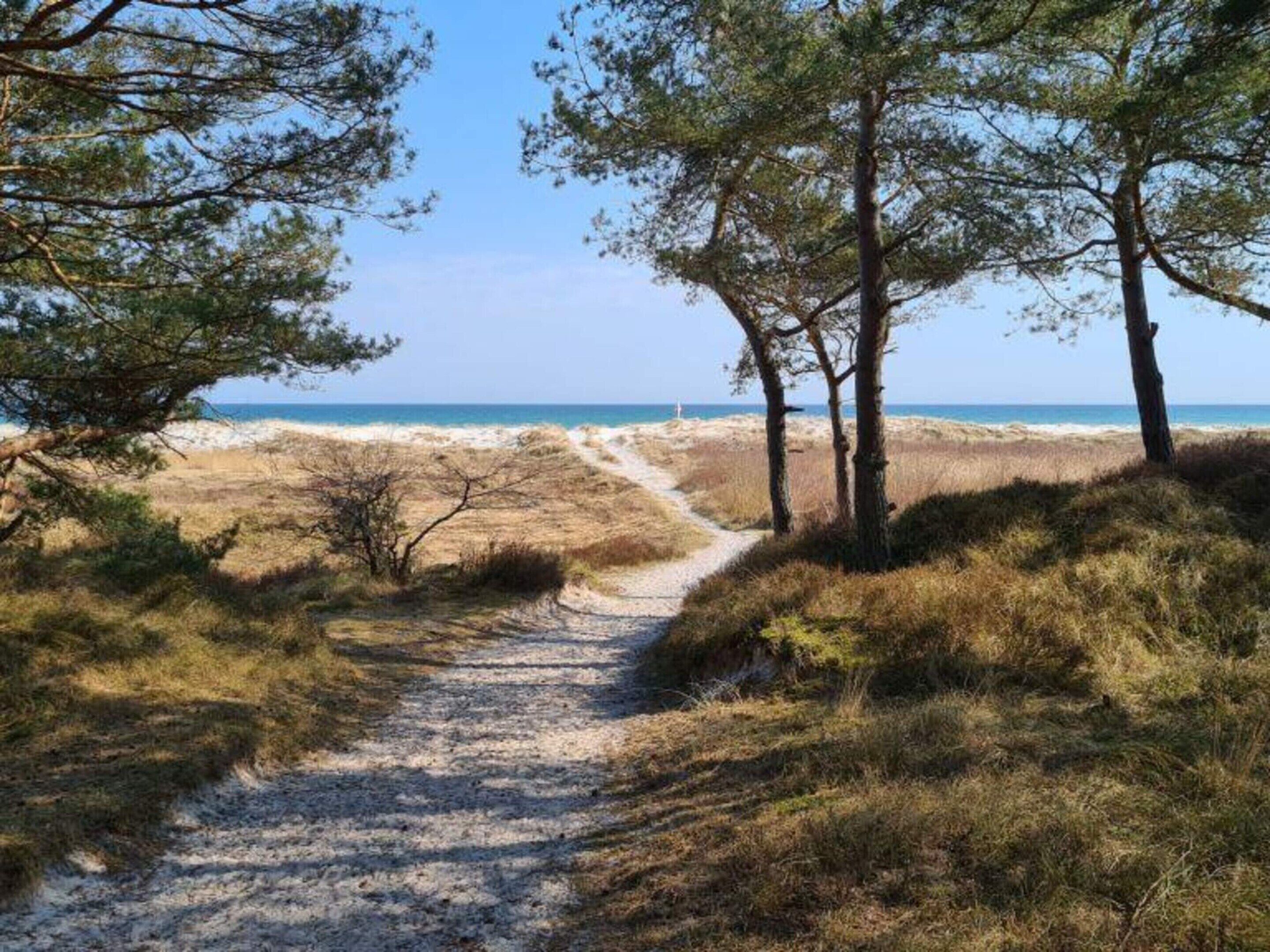 Talo | Ulkopuoli