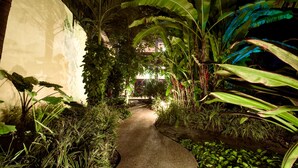 A pathway flanked by lush tropical plants and a building in the background. - Hidden Garden Oasis - Ground Floor + Pool (Lo de Marcos)