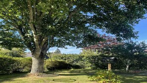 A tree-lined garden with a swing set and a gazebo.