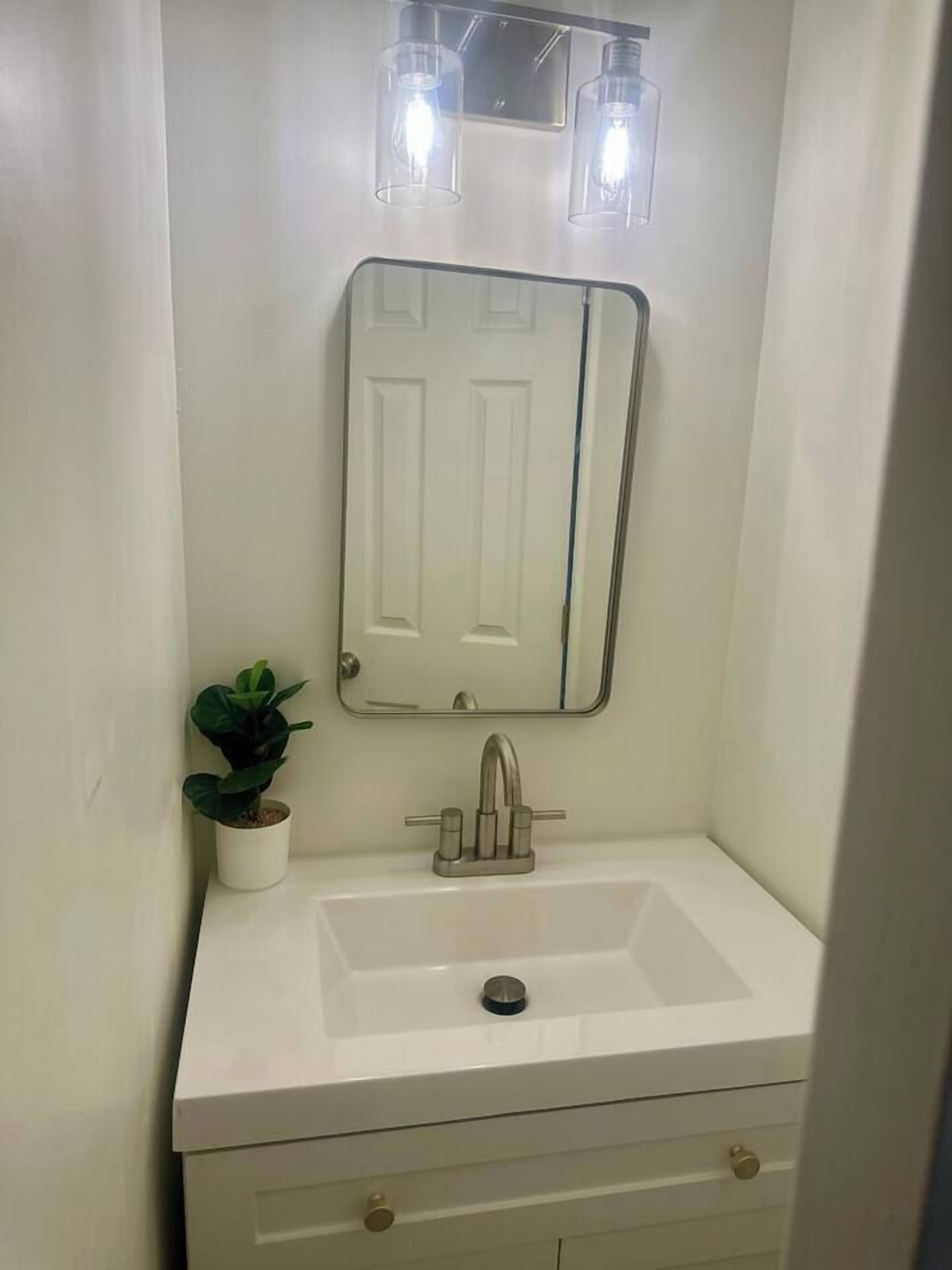 A bathroom with a white sink, a mirror, a potted plant, and a door.