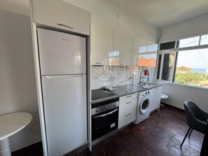 Eine kompakte Küche mit Kühlschrank, Backofen, Waschmaschine und einem Fenster mit Blick.