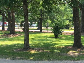 Ein Park mit Bäumen und Rasen, inklusive einem Stoppschild.