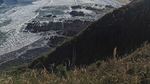 A coastal landscape with a beach, ocean waves, and distant hills under a clear sky. - A restorative stay where the mighty Waikato awa meets the Tasman Sea (Port Waikato)