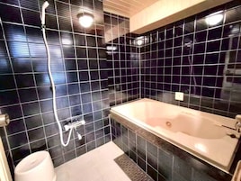 Bañera y ducha independientes, secador de pelo, pantuflas, toallas