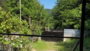 Vista a través de una reja metálica, con un área pavimentada, follaje y una valla en la distancia.