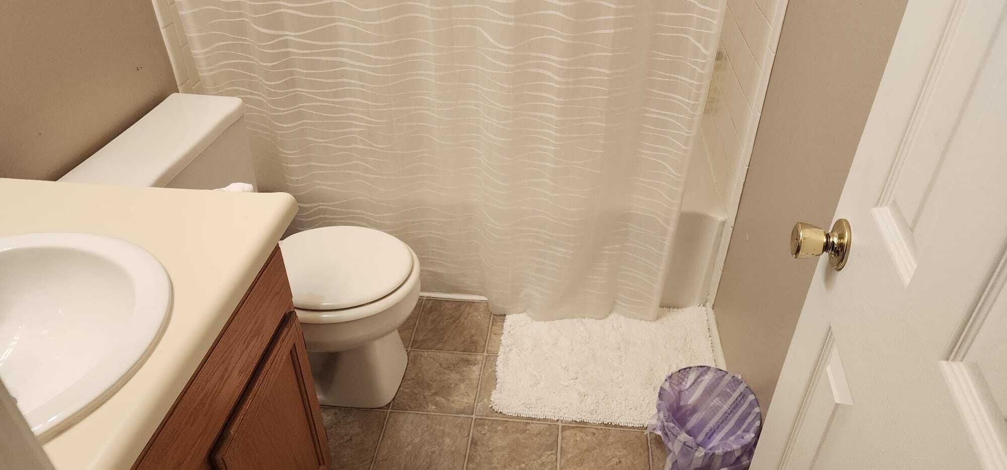 A bathroom with a toilet, sink, and shower curtain.
