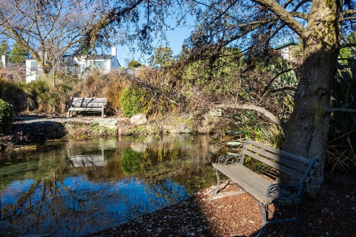 A park with a pond, benches, and trees.