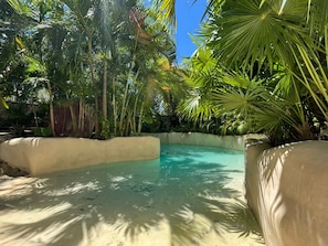 Une piscine entourée de palmiers et d’une végétation tropicale.