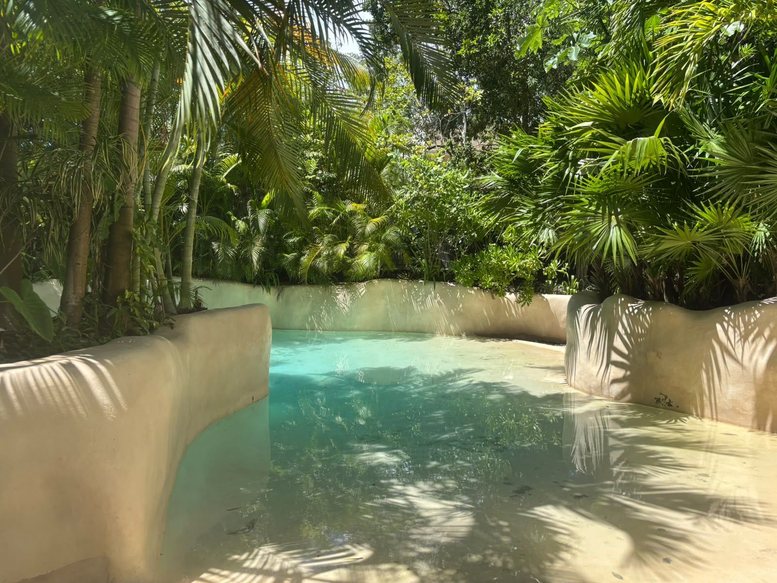 Una piscina cristalina rodeada de vegetación exuberante y un muro de hormigón.
