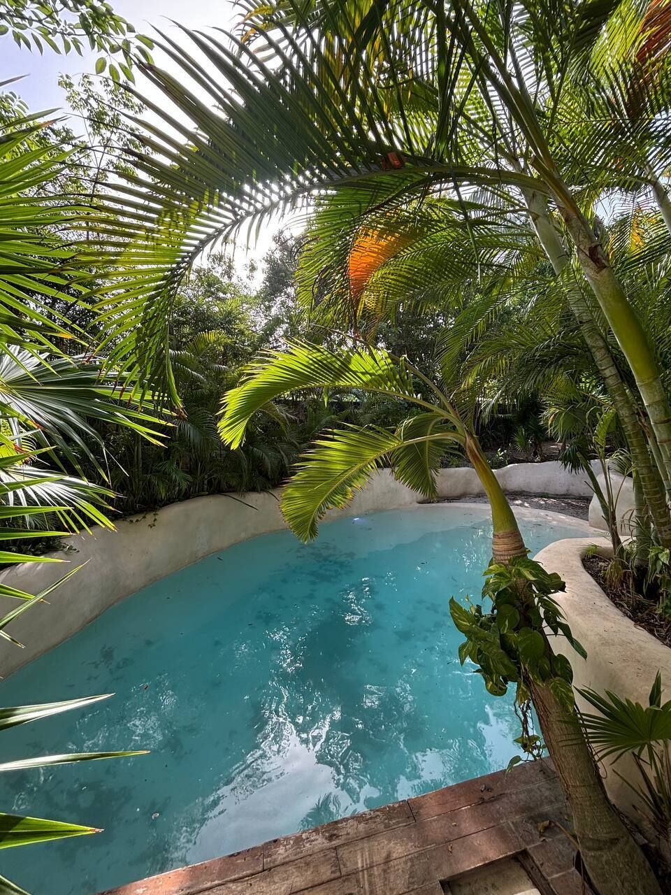 4 piscines extérieures, chaises longues