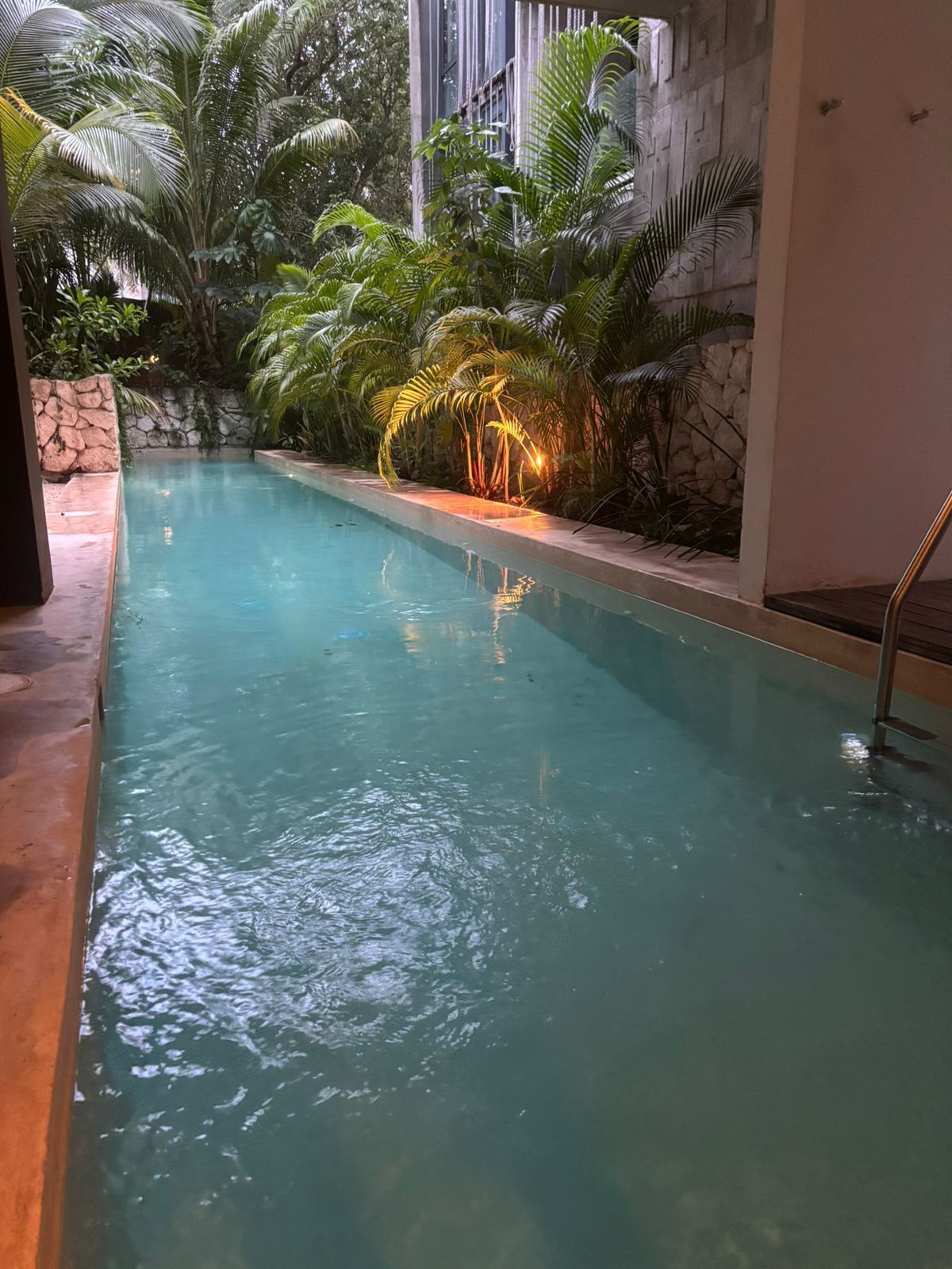 A swimming pool with clear water, surrounded by tropical plants and a stone wall.