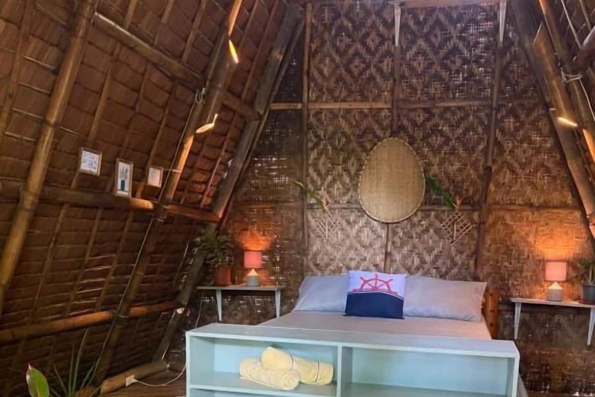 A room with a bed, a shelf unit, a wooden table, and a potted plant.