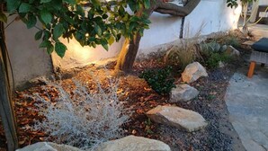 A garden with a tree, rocks, and a bench. - Boutique Hotel Golfo Azzurro (Capoliveri)