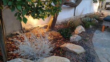 A garden with a tree, rocks, and a bench.