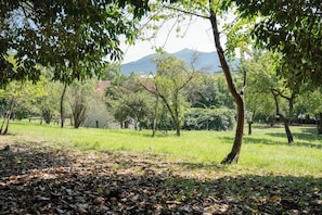 A park with trees, grass, and a mountain in the background.