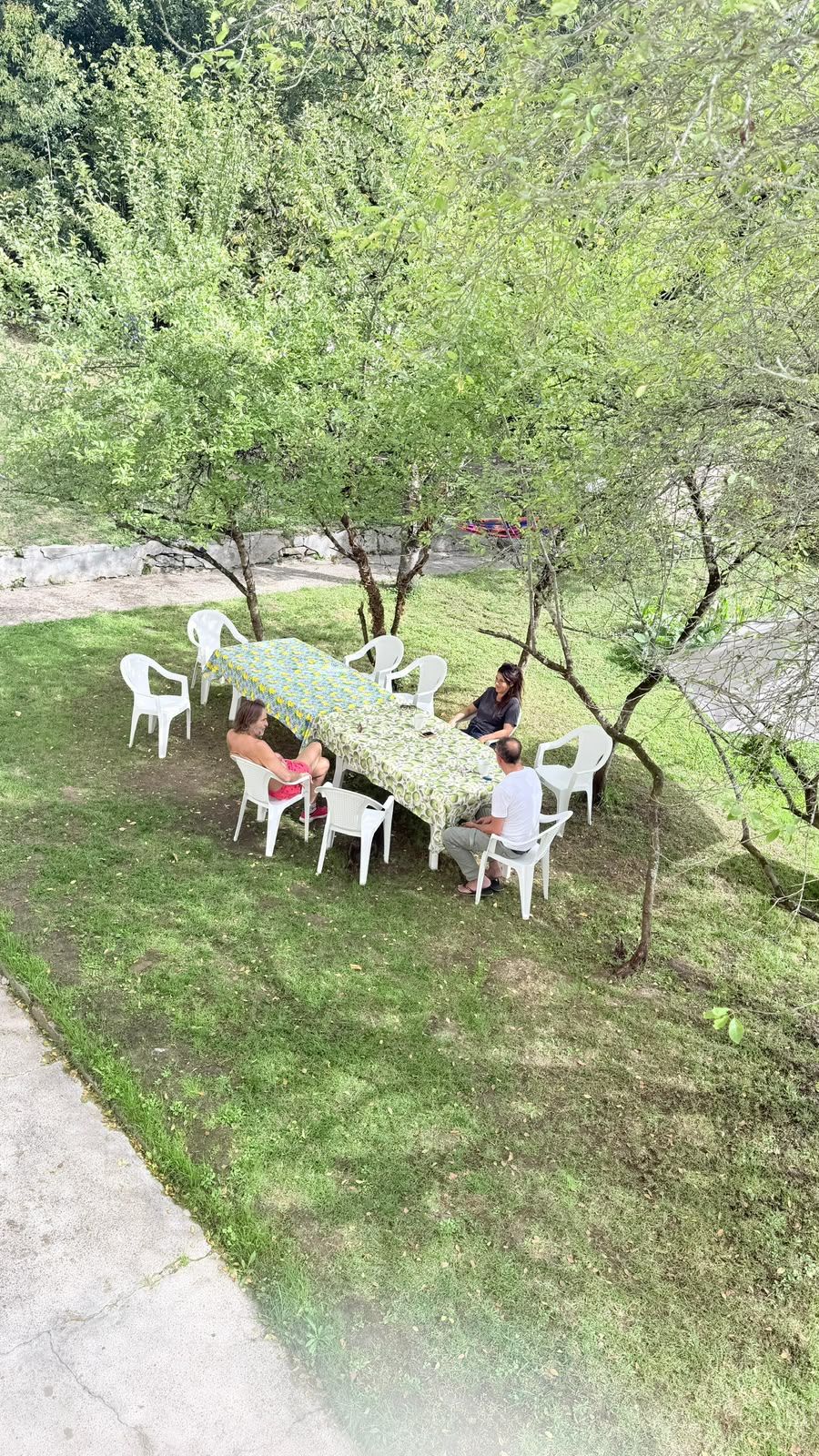 Un espacio de comedor al aire libre con mesa y sillas, rodeado de árboles.