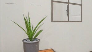 Una planta en maceta sobre una estantería, zapatos debajo, una ventana con marco de metal y una pared lisa.