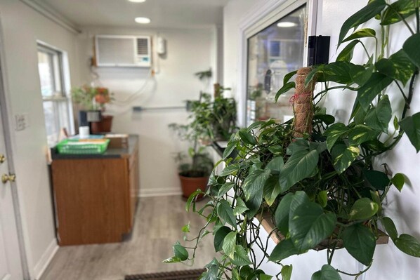 A hallway with a wooden desk, potted plants, and a window with a plant in a hanging pot.