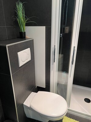A modern bathroom with a toilet, a shower enclosure, and a small potted plant on the counter. - Modern Apartment Near Aachen & Dreiländereck (Kelmis)