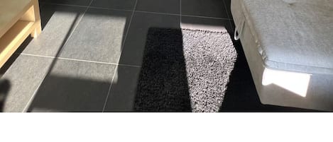 アパートメント 1 ベッドルーム パティオ | リビング エリア | 書庫