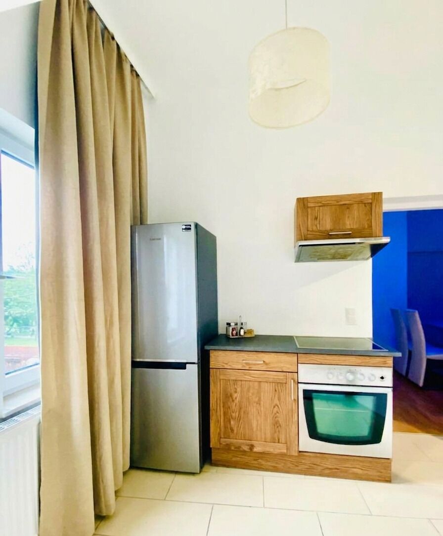 Basic Apartment | Private kitchen | Fridge, oven, stovetop, cookware/dishes/utensils