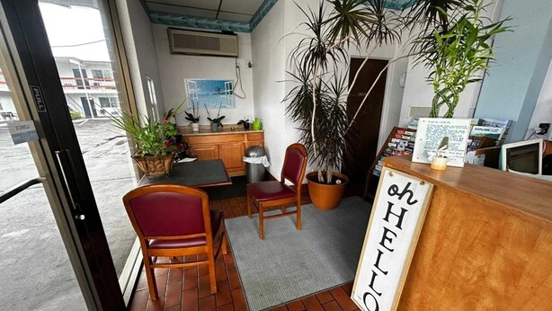 A reception area with a wooden desk, a 'hello' sign, potted plants, and a view of the street outside.