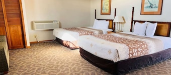 Suite con 2 camas tamaño queen | No fumadores