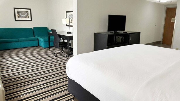 Habitación de hotel con cama, escritorio, silla, televisión y sofá.