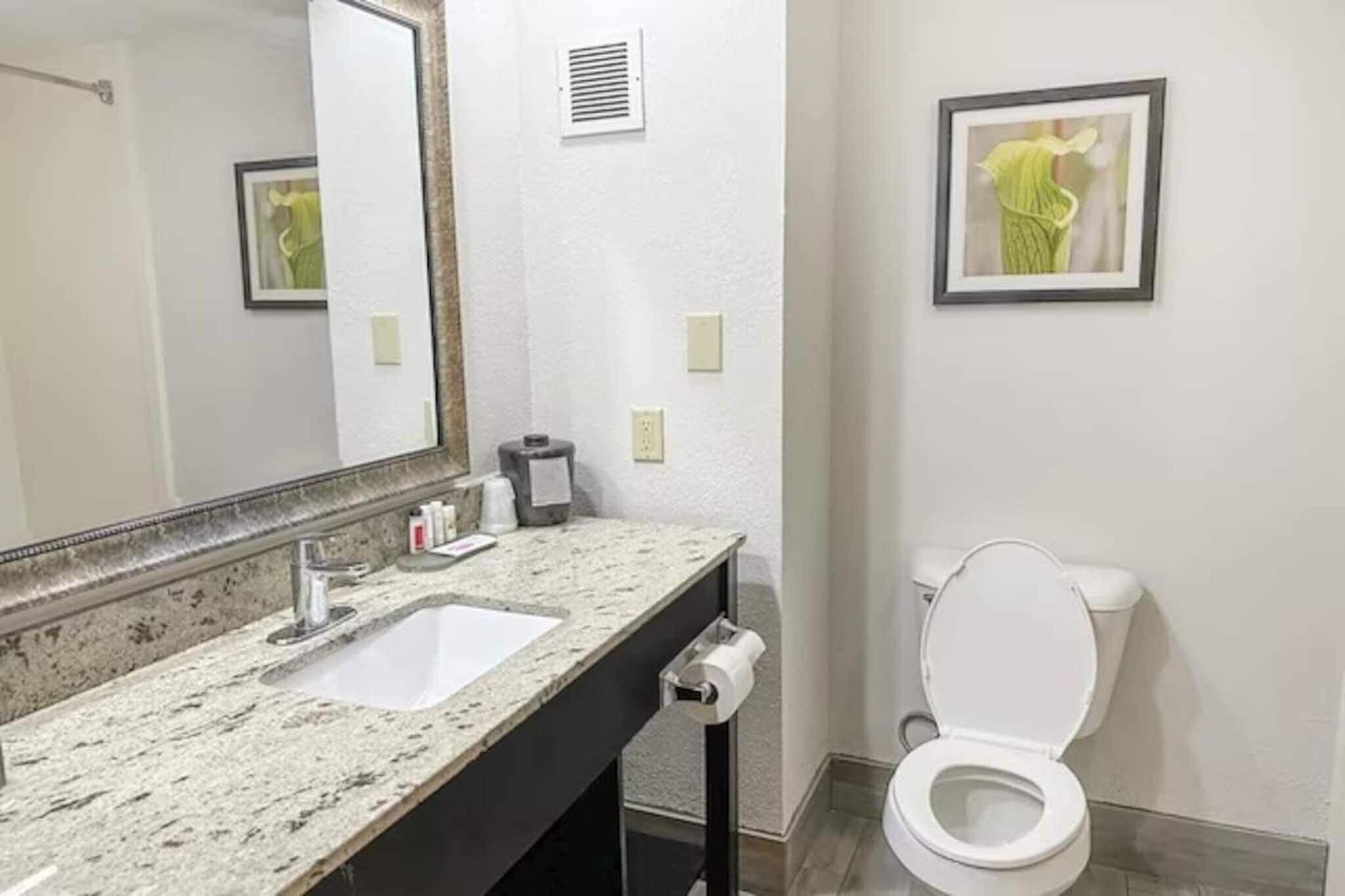 A bathroom with a granite countertop sink, a mirror, a toilet, and a framed picture on the wall.