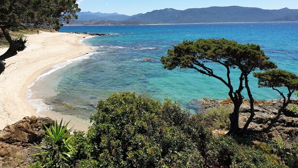 A coastal landscape with a sandy beach, clear turquoise waters, and distant mountains. - LE JASMIN 1-Bedroom Apartment, Sleeps 4 (Serra-di-Ferro)