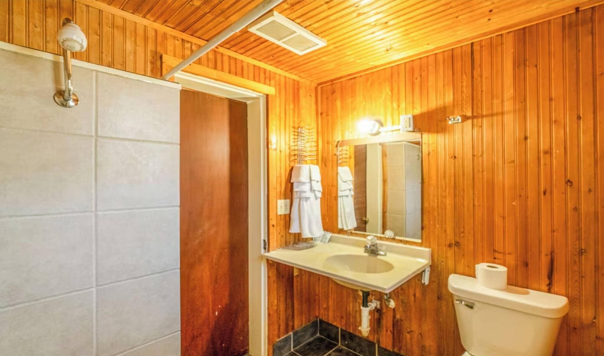 Shower, hair dryer