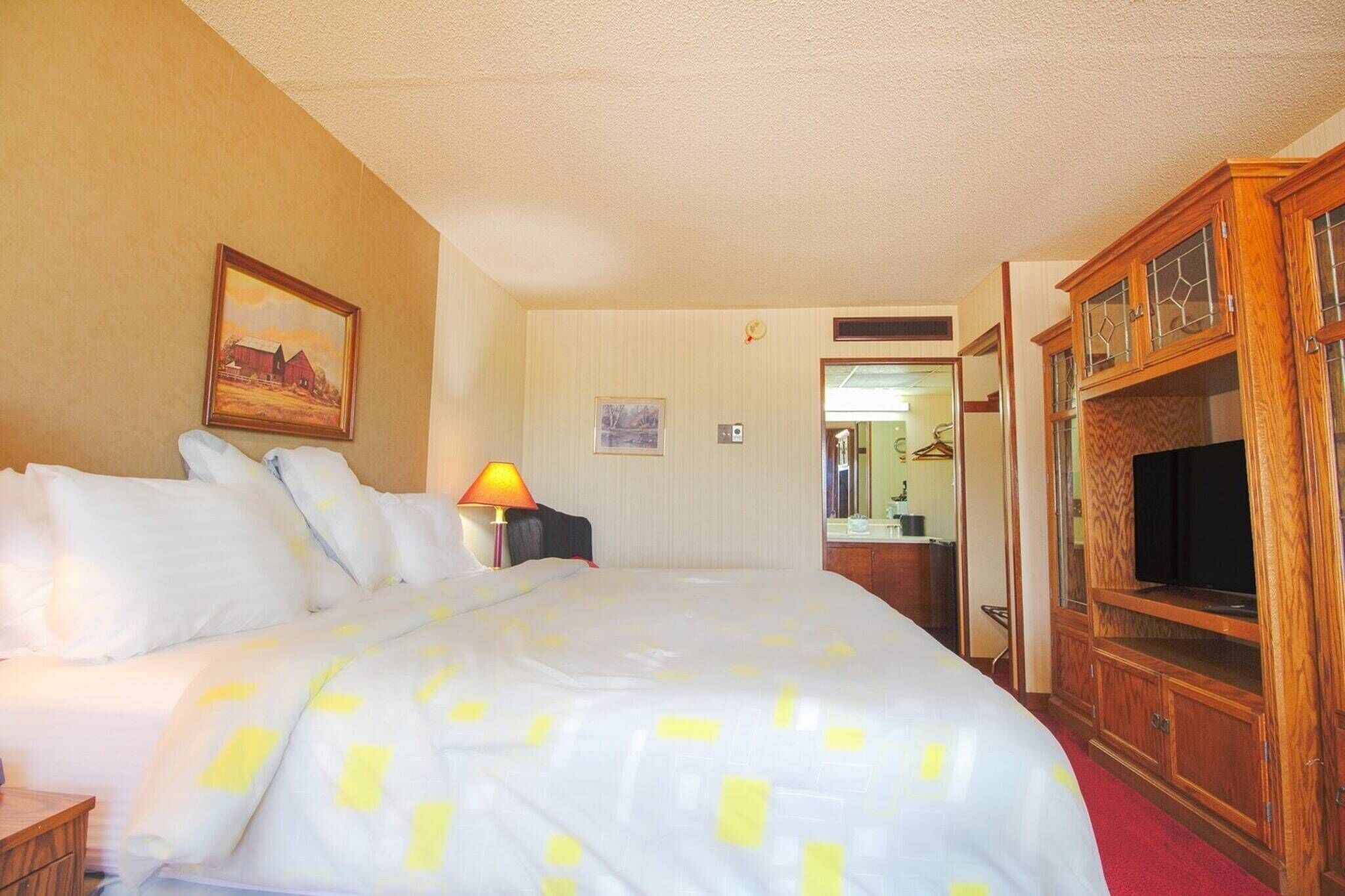 Una habitación de hotel con cama, televisión, lámpara y un cuadro en la pared.