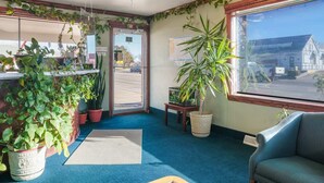 Een kamer met een blauw vloerkleed, een plafondventilator, een groot raam met uitzicht en verschillende potplanten.