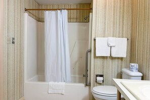 Une salle de bain avec douche, toilettes et lavabo.