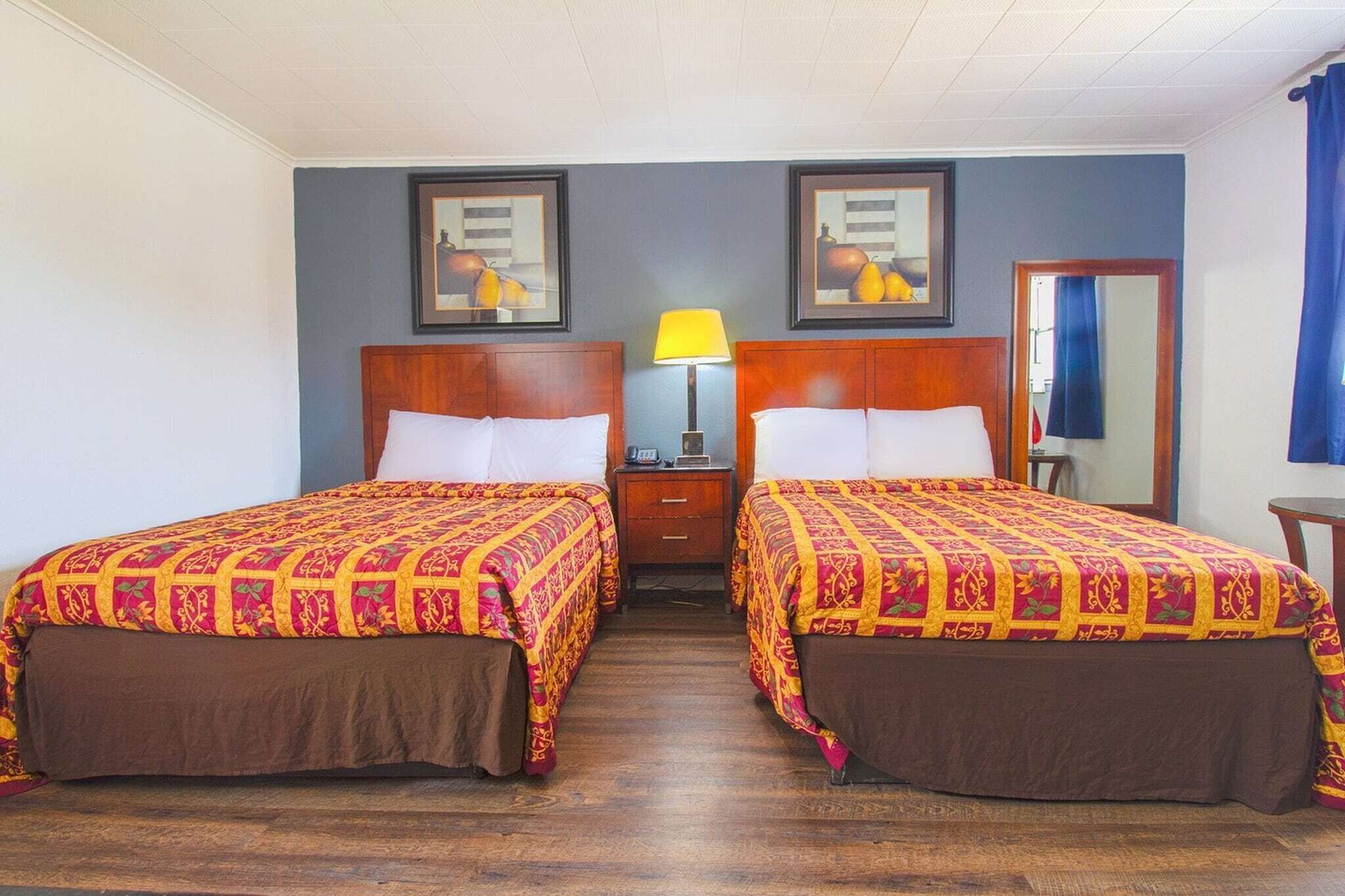 1 habitación 