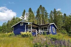 A blue house with a porch, surrounded by tall trees and wildflowers. - Holiday home in Undenäs with swimming pool (Undenäs)
