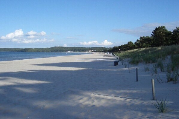 Ein Strand mit blauem Himmel, sandigem Ufer und einer Baumreihe im Hintergrund.