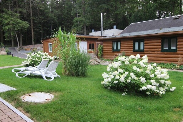 A log cabin with a small porch, a lawn with white flowers, and a chair. - Holiday home Hubertushöhe (Crinitzberg)