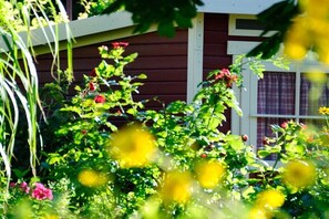 Ein Garten mit verschiedenen Pflanzen und Blumen, einem Holzzaun und einem Fenster mit Vorhängen.