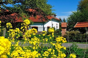 Ein Gebäude mit rotem Dach, umgeben von Grün und gelben Blumen.