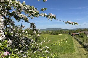 Ländliche Landschaft mit blühenden Bäumen, blauem Himmel und fernen Hügeln.