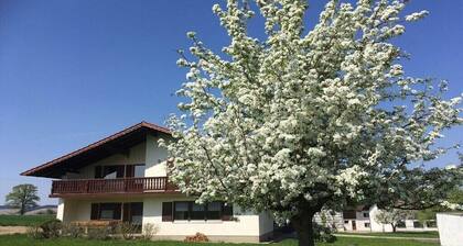 Ferienhaus in Pocking mit Schwimmbecken