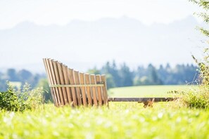 Eine hölzerne Bank in einem grasbewachsen Feld, verschwommene Bäume und Hügel im Hintergrund.